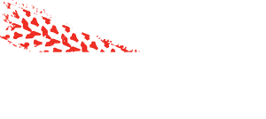 Ride.si
