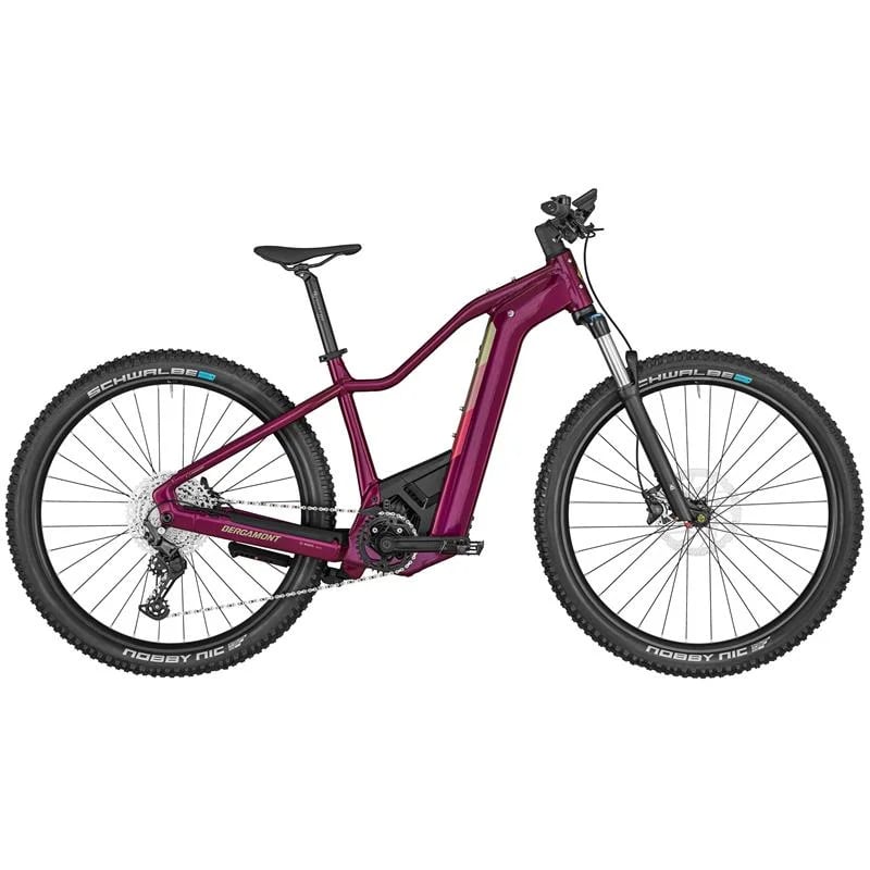 BERGAMONT E-Revox Pro FMN